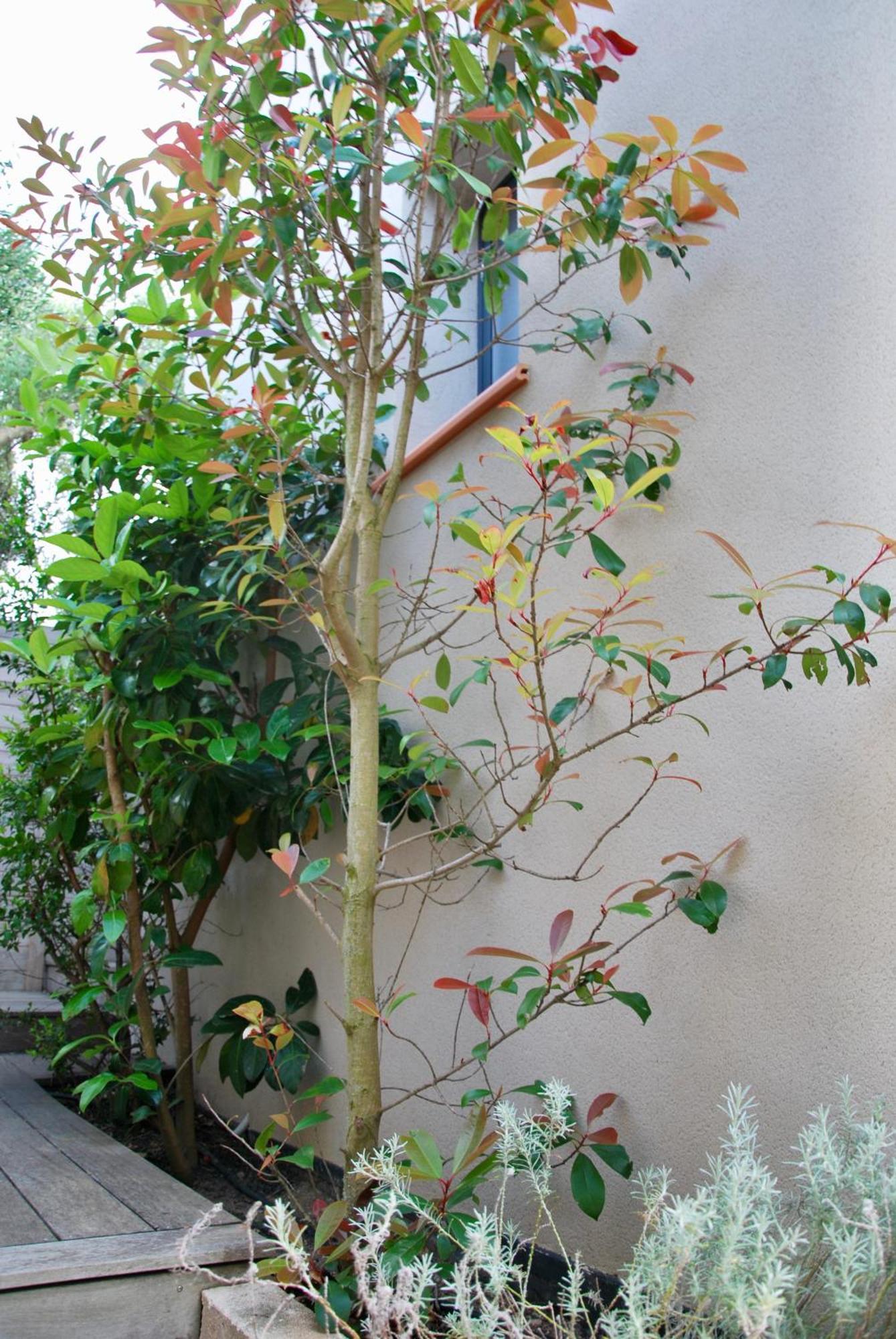 Villa Madra 博尼法乔 外观 照片